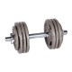 Set de gantere cu plăci inSPORTline Hamerton 2 x 20 kg