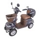 Scuter Electric cu 4 roti inSPORTline Lubica